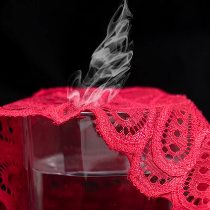 Sous-vêtements en dentelle pour femmes, culotte Sexy, couleur unie, culotte transparente, intimes, taille basse, Lingerie pour femmes,sous vetements femmes romantique