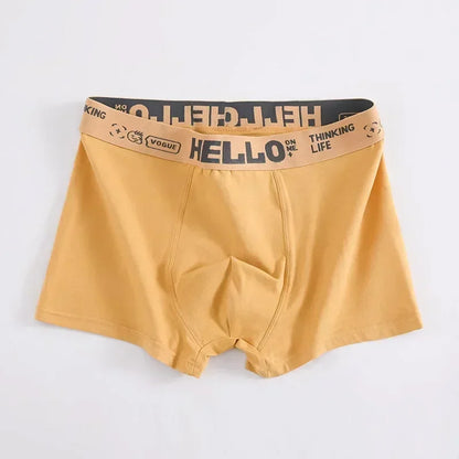 Boxer Confortable en Coton pour Homme, Sous-Vêtement Doux et Respirant